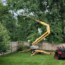 Best Firewood Processing and Delivery  in Midway, KY