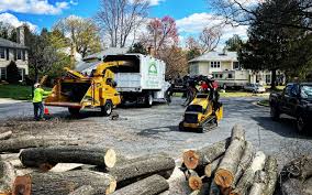 Best Lot and Land Clearing  in Midway, KY