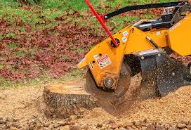 Best Seasonal Cleanup (Spring/Fall)  in Midway, KY