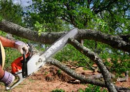 Best Lawn Drainage Solutions  in Midway, KY