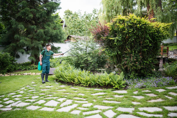 Best Artificial Turf Installation  in Midway, KY