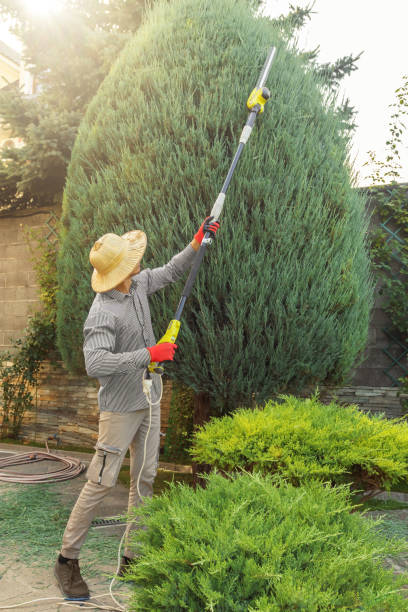 Best Soil Testing and Treatment  in Midway, KY